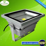 CE&RoHS 30W Bridgelux Meanwell LED Flood Light Outdoor