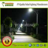 High-Quality Battery-Buried Solar LED Light