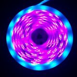 Flexible Digital IC Built-in LED Strip Light
