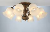 Lily Ceiling Glass Light Chandelier Lighting