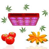 1000W LED Garden Light, LED Grow Light for Greenhouse