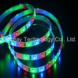 Waterproof Flexible 5m Per Reel 3528 LED Strip Light RGB