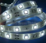 LED Strip Light/LED Rope Light