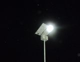 Competitive Nice Solar LED Street Light