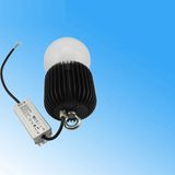 New Mould IP67 30W LED High Bay Light