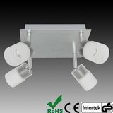 Indoor LED Ceiling Light Fixture (L10014)