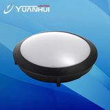 LED Ceiling Light