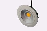 LED Down Light