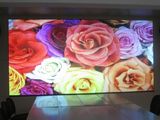 P6 Indoor Full Color LED Display /Full Color LED Display