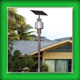 Solar Powered LED Garden Light