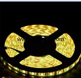 12V/24V 30LEDs/M RGB Waterproof Flexible SMD5050 LED Strip Light