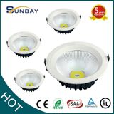 30W Epistar COB LED Down Light