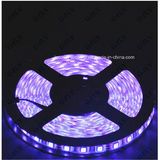 Samsung Chips LED Strip CCT Flexible LED Strip Light 720lm/M