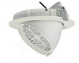 LED Ceiling Light