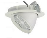 LED Ceiling Light