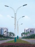 LED Street Light (SYT-3203)