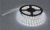 12V Warm / Cool White LED Strip Light