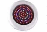 LED Growth Light