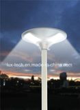 Solar Light with LED Lighting for Outdoor Lighting