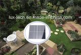 Solar LED Garden Light for Outdoor Lighting