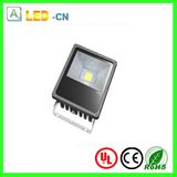 Unique Radiator Design 10W Floodlight LED Outdoor Light