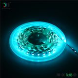 IP65 SMD 5050 12V RGBW LED Strip Light with CE, RoHS