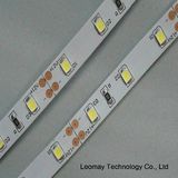 Hot Selling 2835 LED Strip Light