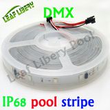 5050 IC DMX RGB Rope_Dome_Cove 6LEDs, Round PVC Base DMX PVC Point Light