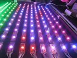 IP68 SMD5050 60LEDs/M LED Flexible Strip Light