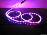 3528SMD LED Strip LED Strip Light LED Light (230V/110V)