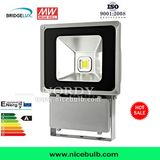 Outdoor IP65 70W RGB LED Flood Light