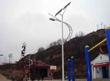 6m Solar Panel Powered Street Lights for Building