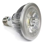 New Product 10W E27 PAR30 Bulb LED