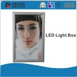 Slim Advertising Single Side Light Box