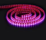 SMD 5060 High Power Flexible Strip 60 LEDs/M LED Light