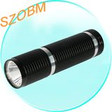 Aluminum High Power 1W LED Mini Flashlight (Black)