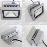 LED Flood Light