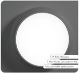 LED Ceiling Light