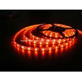 5050 60LEDs/M Multicolor LED Light Strip