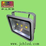 Outdoor Lighting COB 150W High Power LED Flood Light