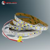 CE RoHS UL Certificate Waterproof LED Strip Light