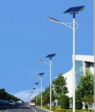 Wbr067 30W Single Lamp Solar LED Street Light