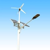 Jinshang New Item 70W 6m LED Wind-Solar Hybrid Street Lights