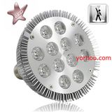 12w LED Spotlight Bulb