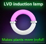 Energy Saving LED Plant Grow Lights