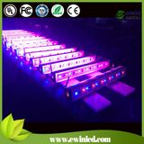 UV LED Wall Washer Light with 7 Color Changing Effects