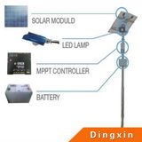 8m 60W LED Solar Street Light with 5 Years Warranty