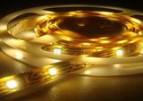 IP65 SMD5050 30LED/M LED Strip Light