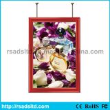 Modern Advertising LED Slim Light Box