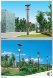 Solar Yard LED Light 30-60W